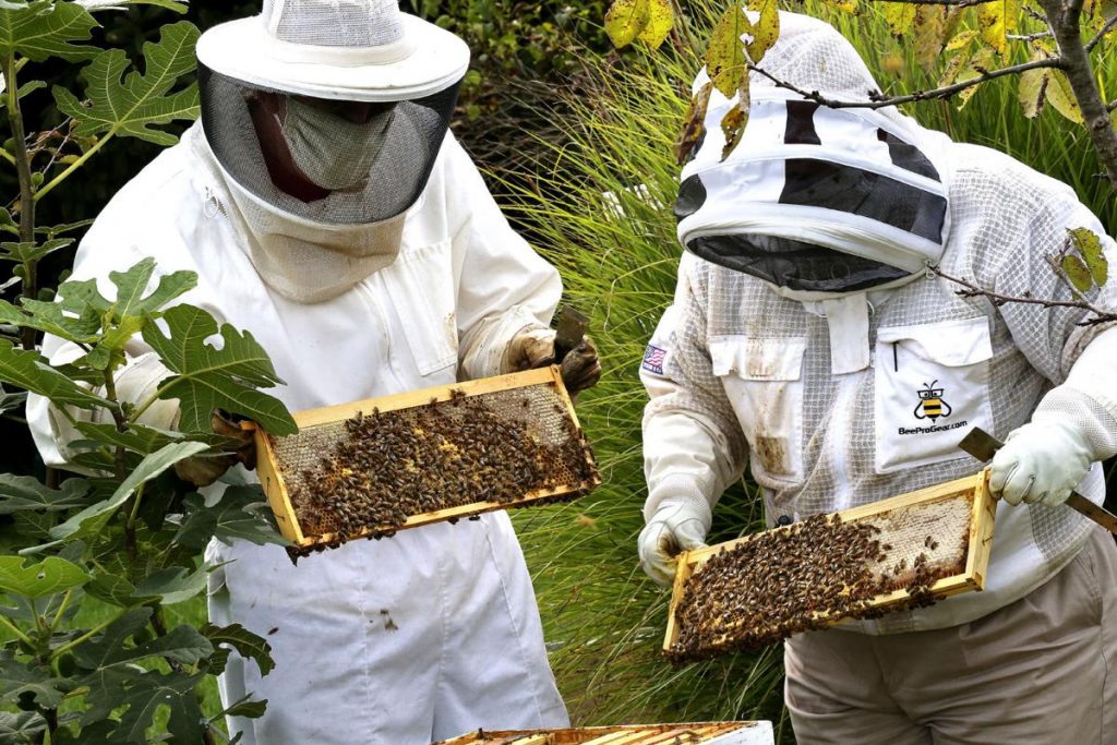 Beekeeper Supplies