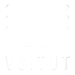 Vsitut